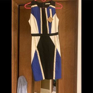 Party dress ! So cute, I wish it fit !